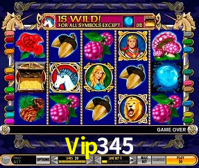 Descubra o Mundo do Cassino Online com Vip345
